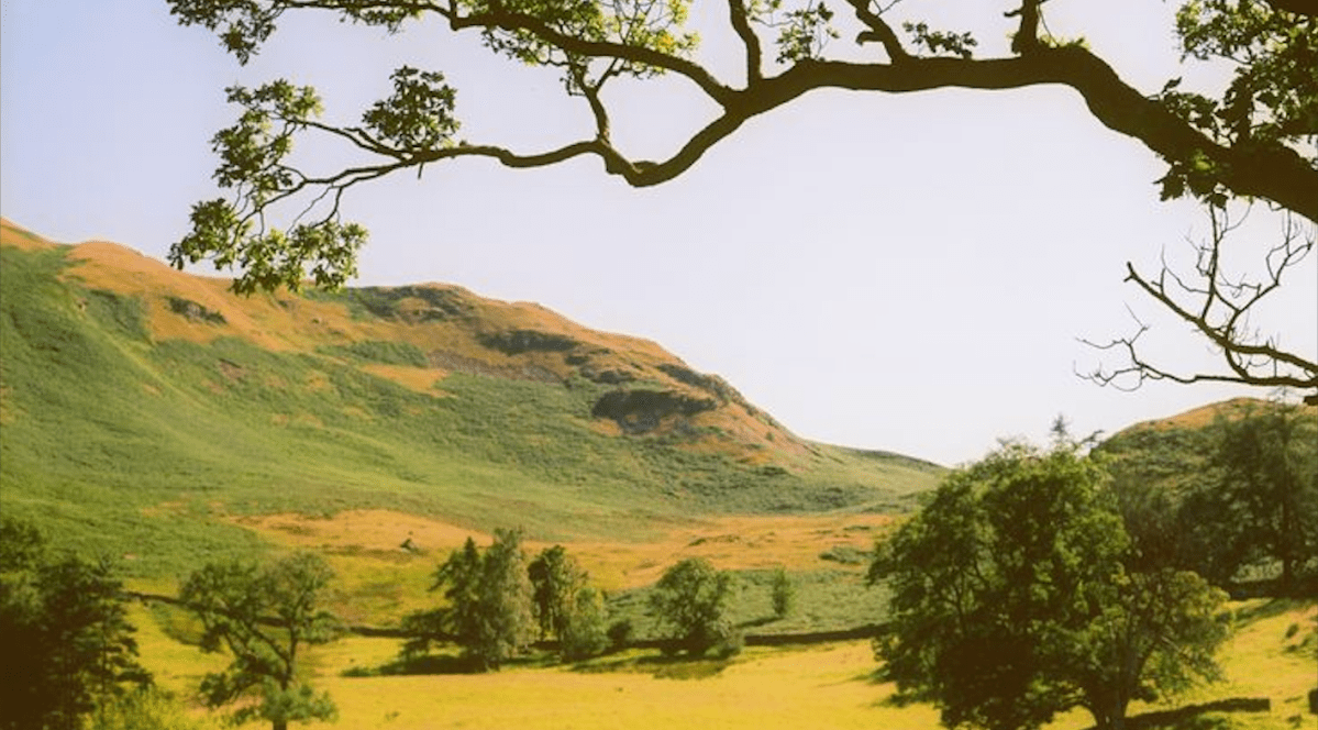 3 of the most impactful lines I have read in&nbsp;books